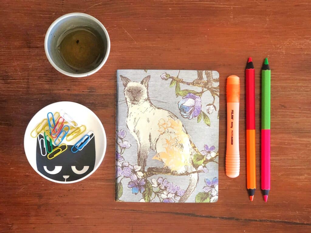 curiosità e creatività